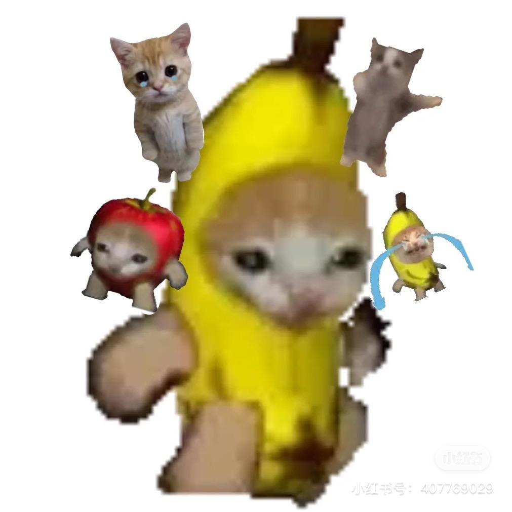 尊贵的嘤嘤公主殿下