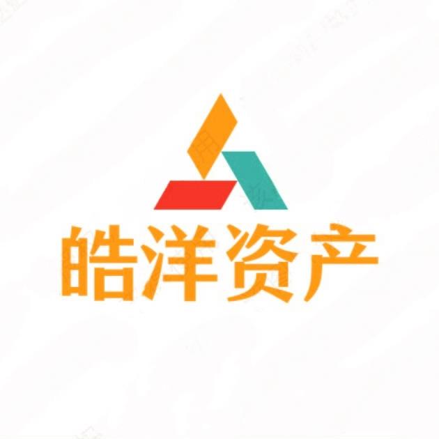 皓洋资产