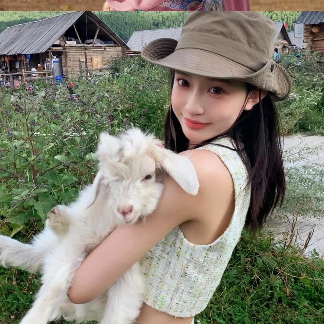 曼🐑🐑