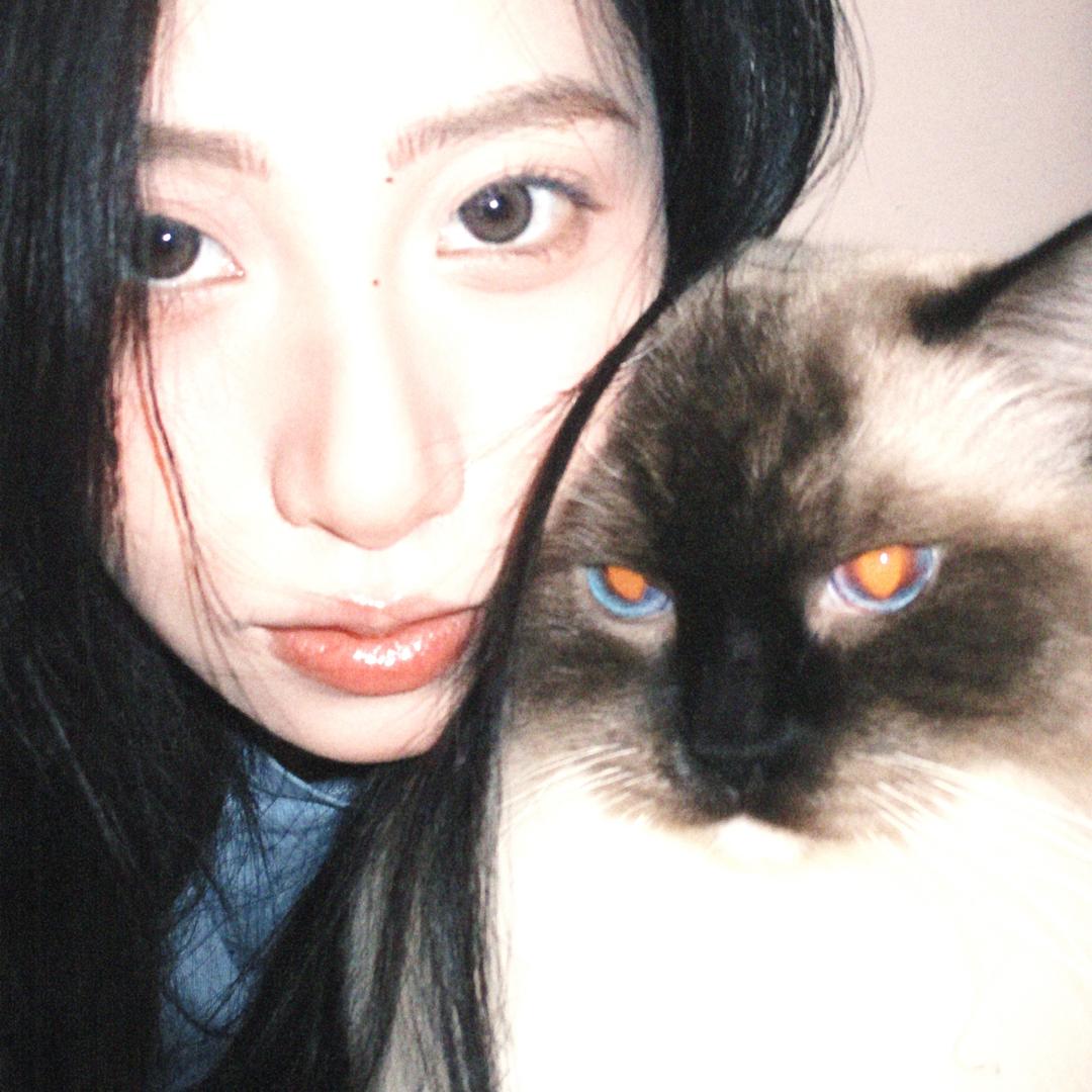 猪肉脯