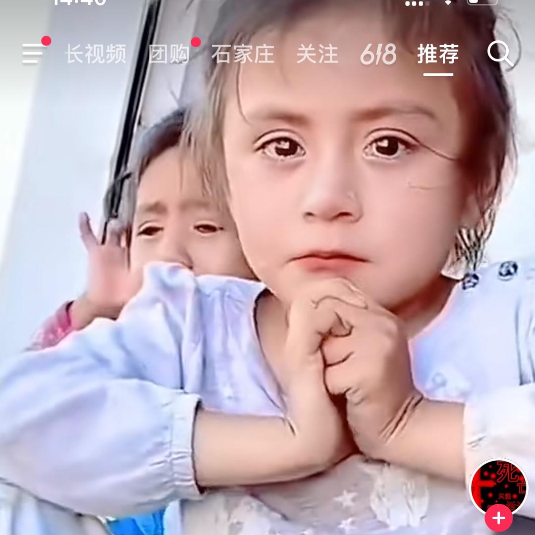 🕊️🕊️🇵🇸🇵🇸