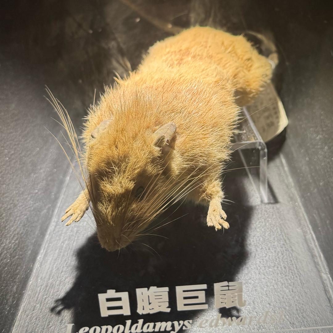 🌈高冷低调的幼儿园毕业生🧑‍🎓