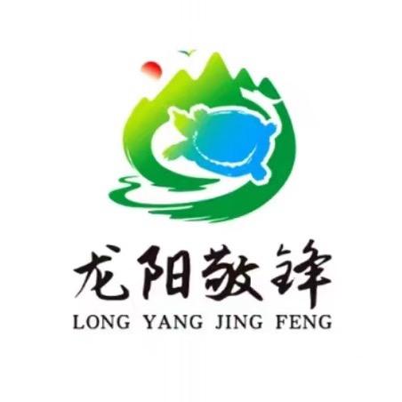 洞庭渔夫甲鱼
