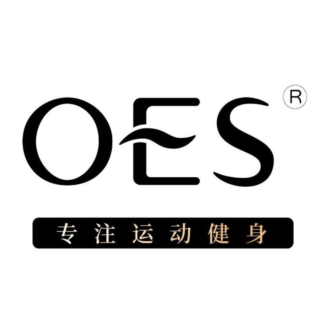 OES旗舰店滑行垫