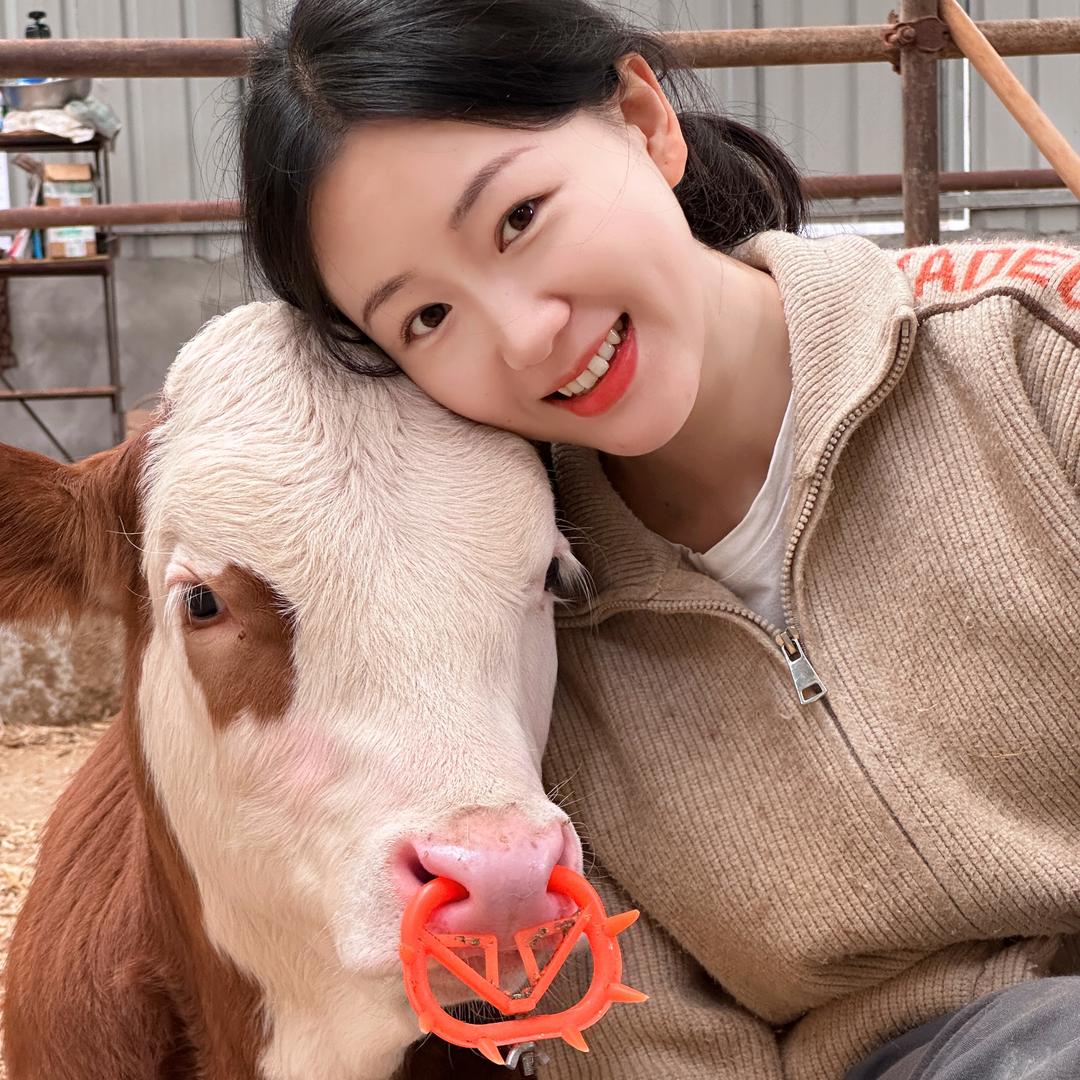 娜娜的养牛日记