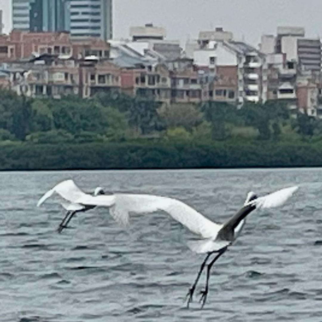 用户9146973032023陈耀钦