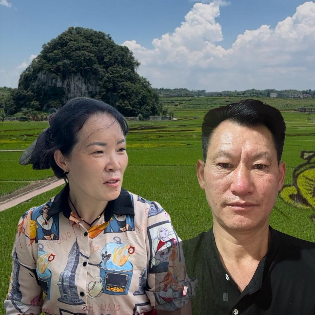 刘歌