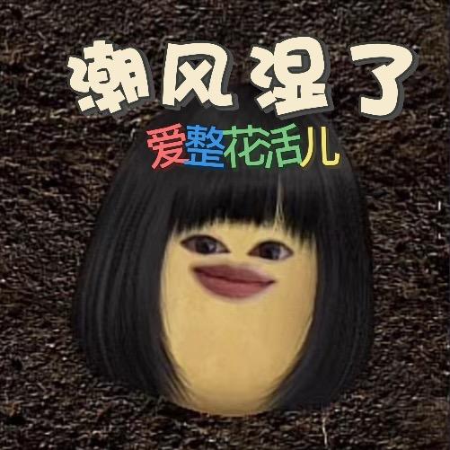 潮流官方皮下蝶仔