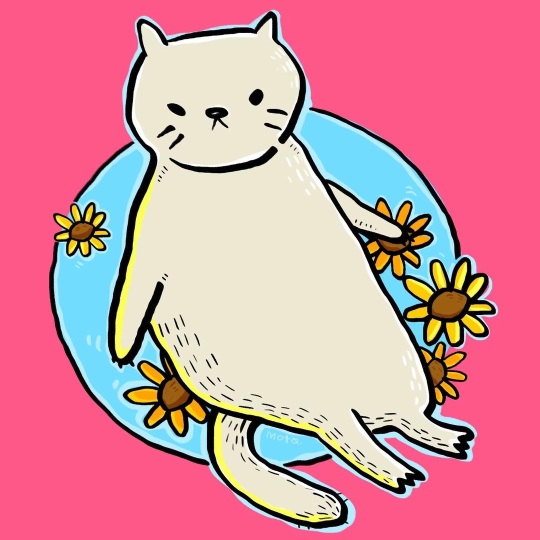 七宝的猫