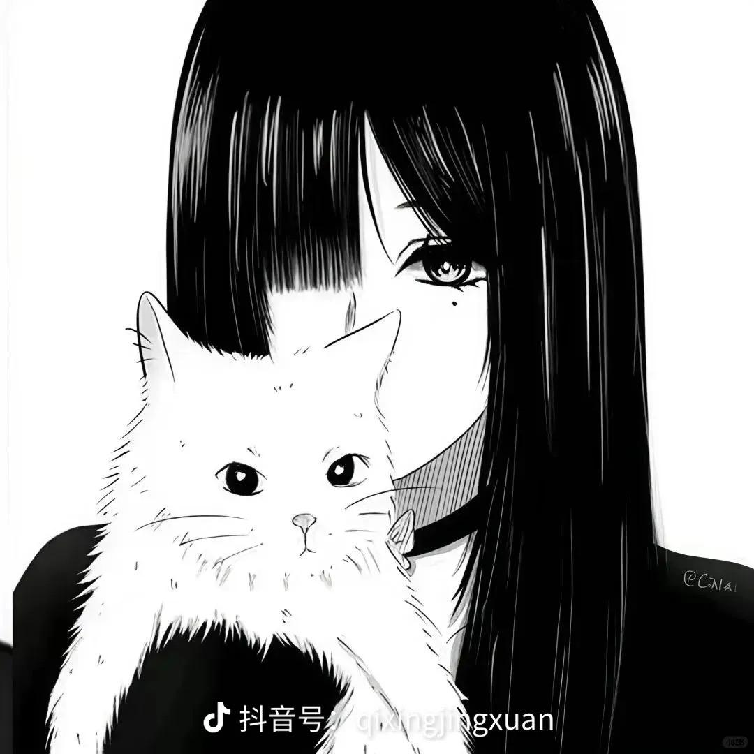猫猫