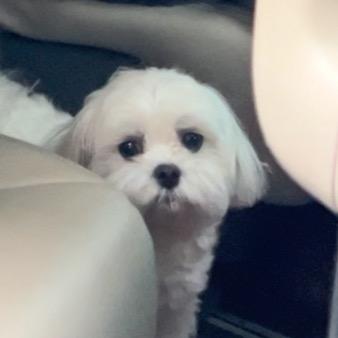 差点长成美女ya