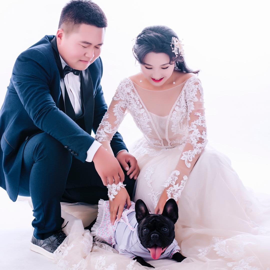 元宝妈手工宠物零食