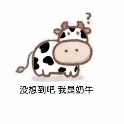 没想到吧我是奶牛