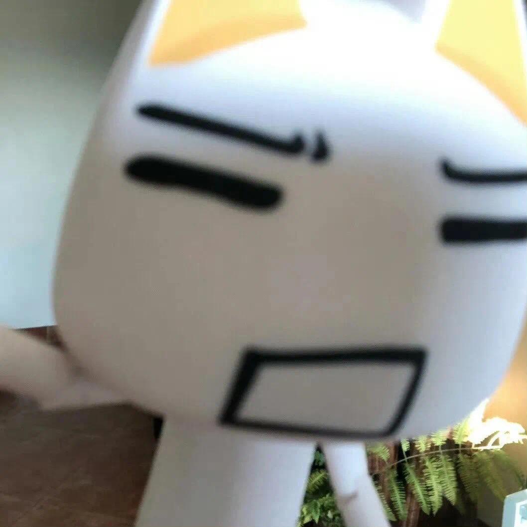 我不吃猪蹄