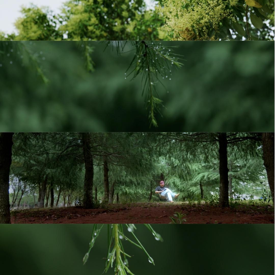 菜大芃