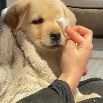 书碧瀚.（有天外来物巡回演唱会荧光棒版）