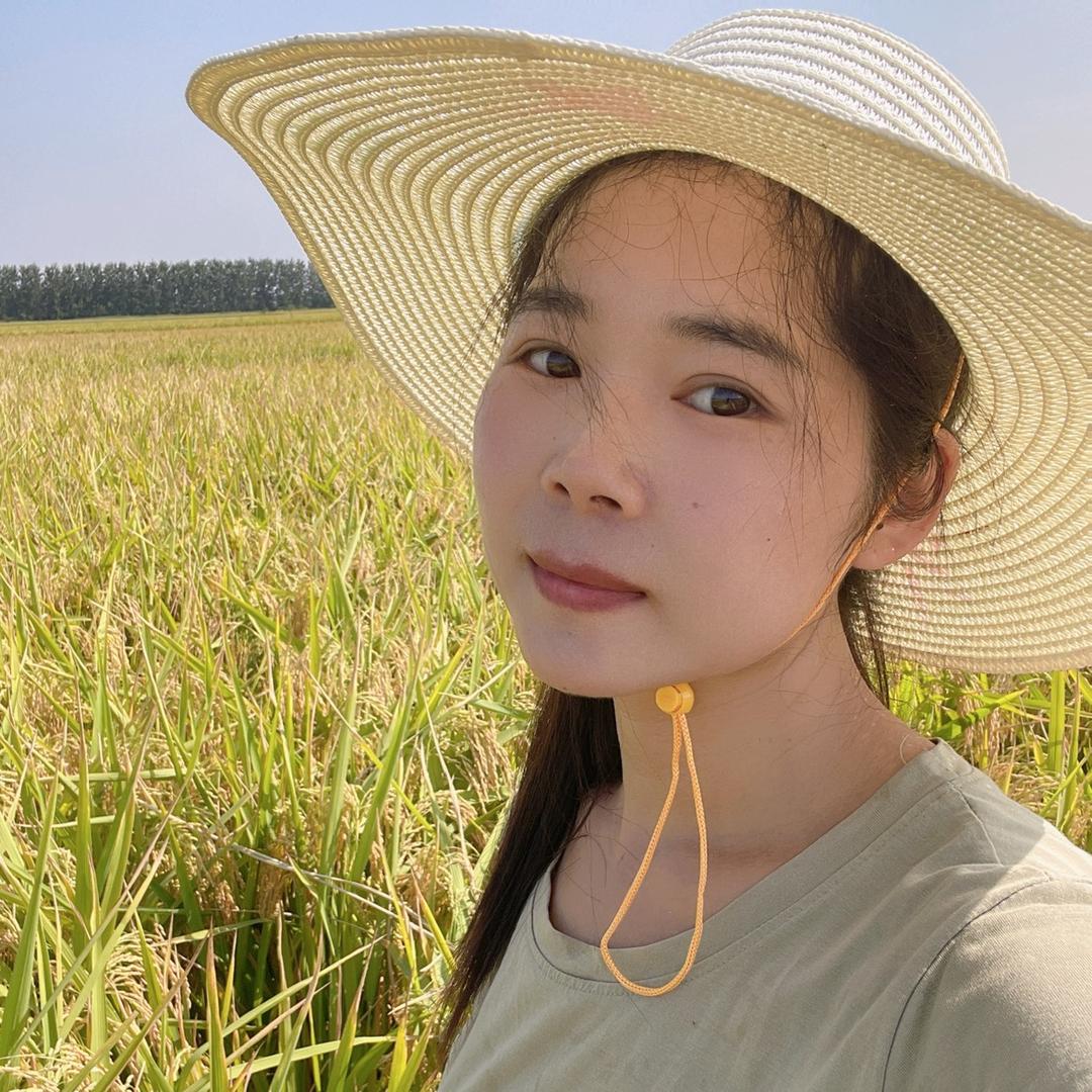 盛十三牛肉农产品