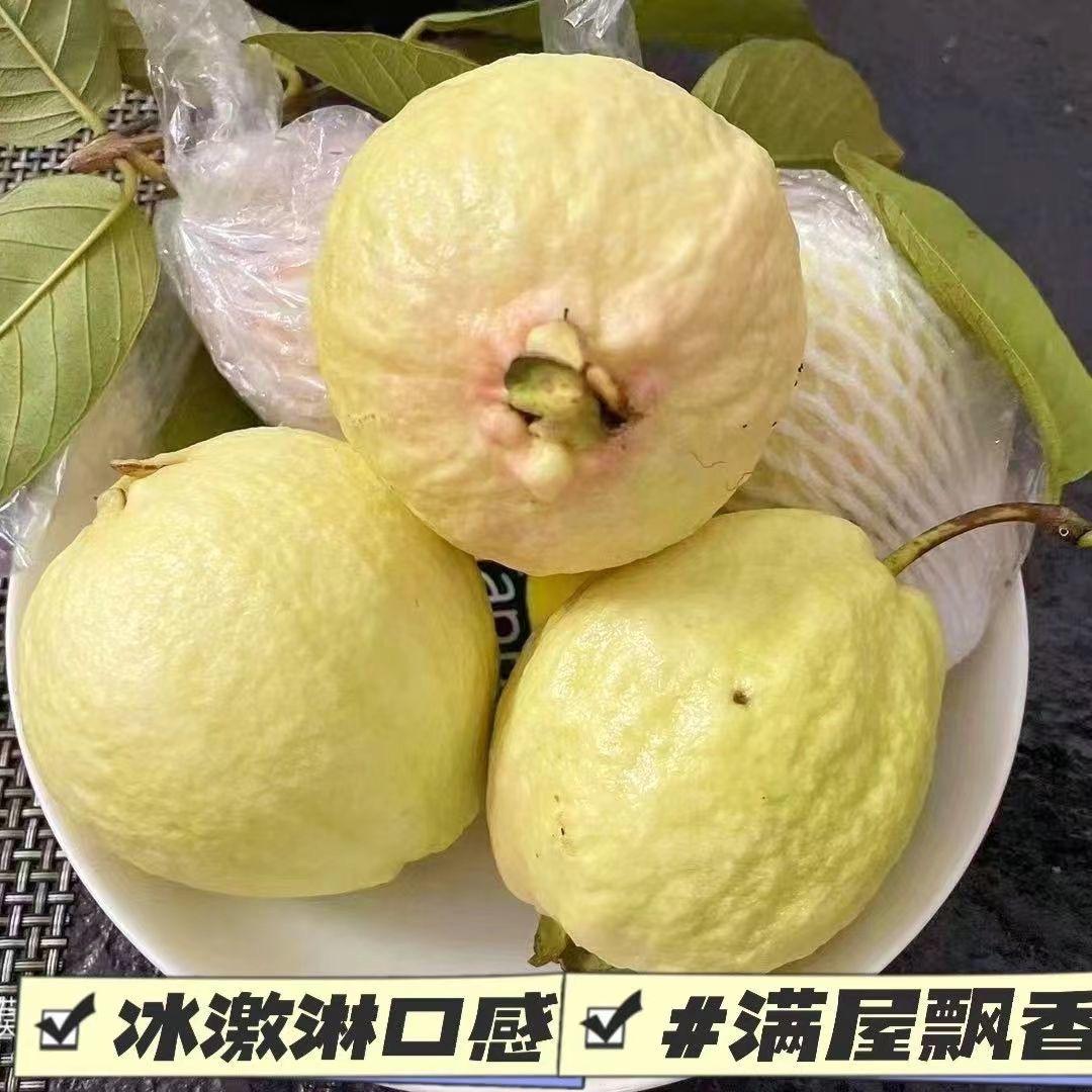芭乐新鲜到家