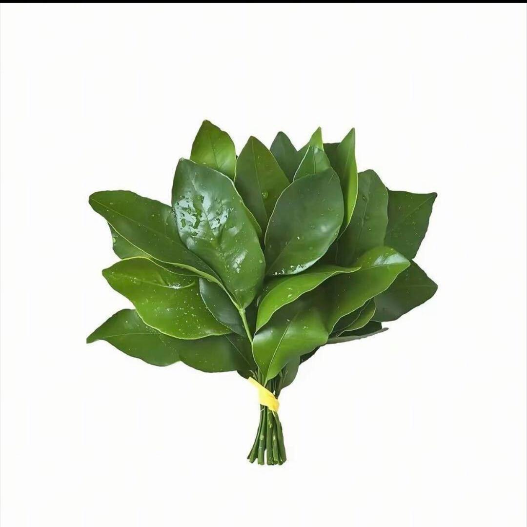 我睡觉的时候不困