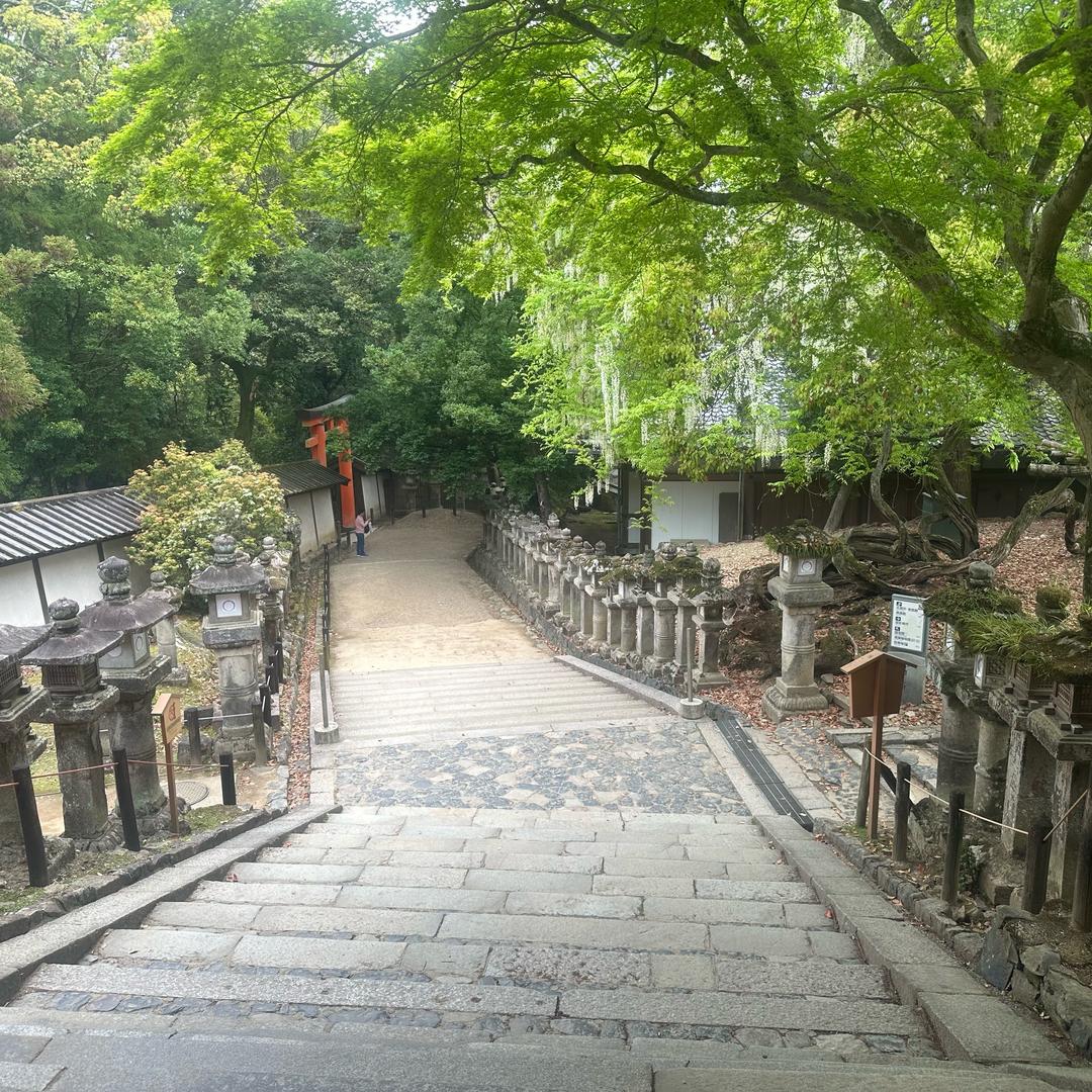 福禄满堂祭祀《国际殡葬服务》