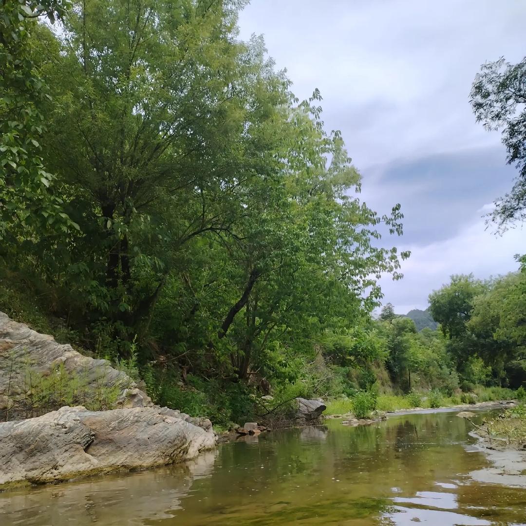 娜娜深山收好货