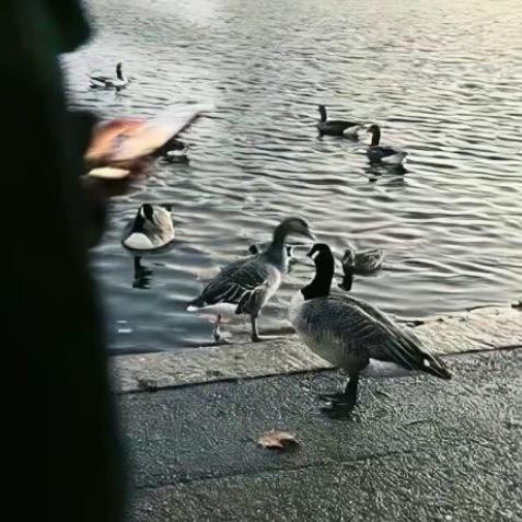 省点是点