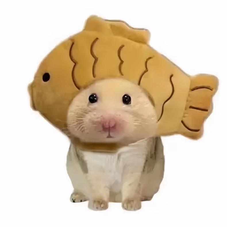 加哆哆宝