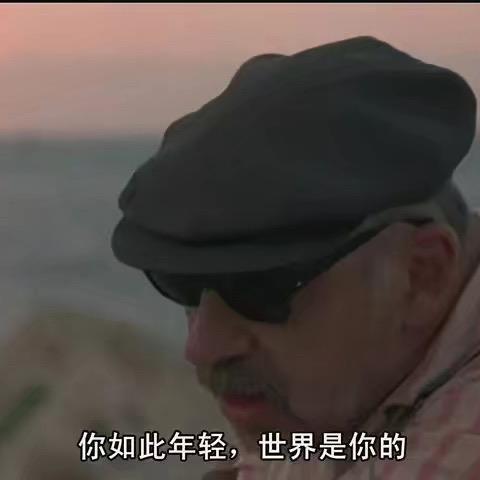 叙利亚老蜥蜴🌻