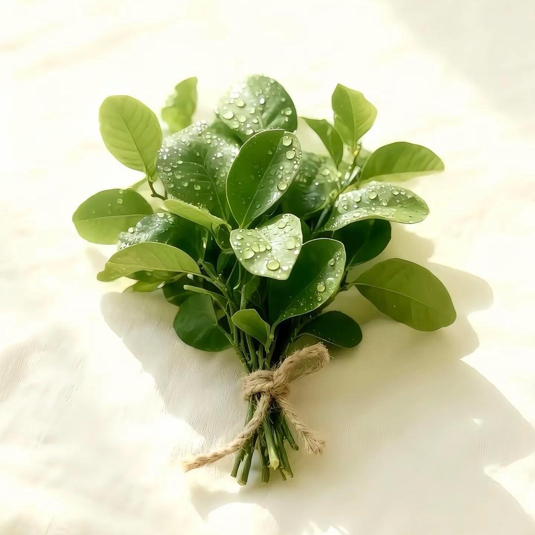 是璇不是旋