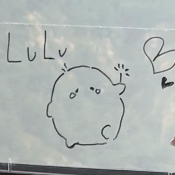 LuLu🪞