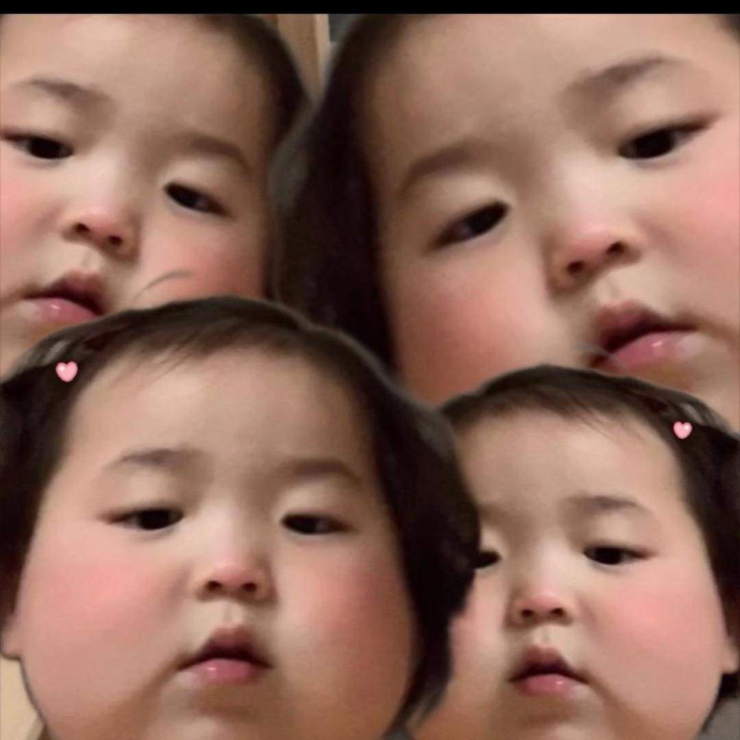 冯了了