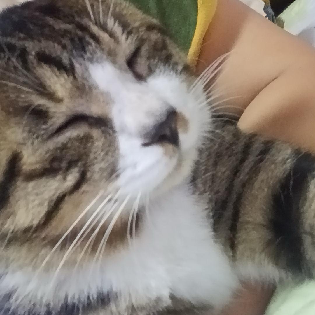 小助理