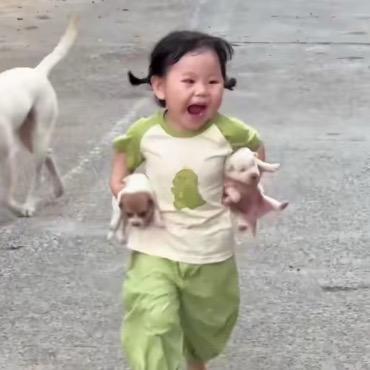 欣斯