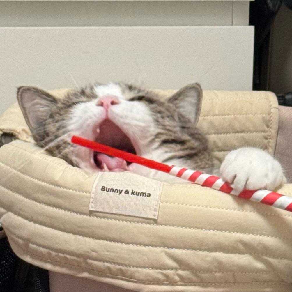 M记可乐大薯不去冰