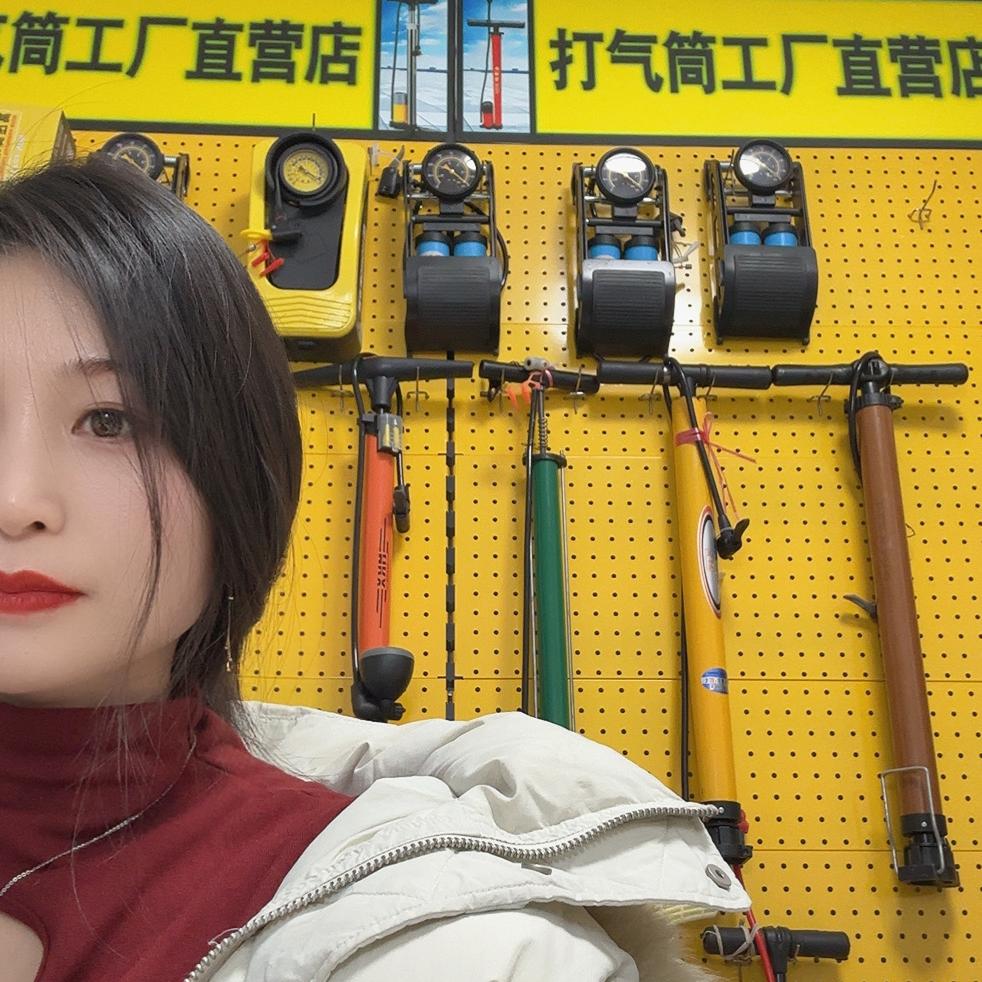 明珠打气筒