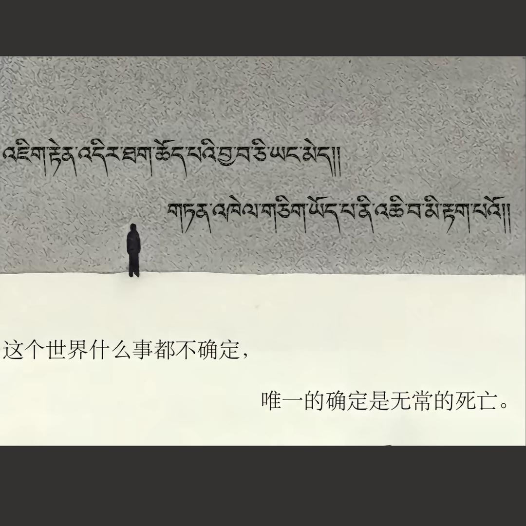 卓 尕 措 🌾