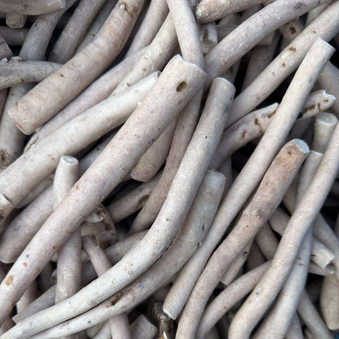 专业点白芍牡丹