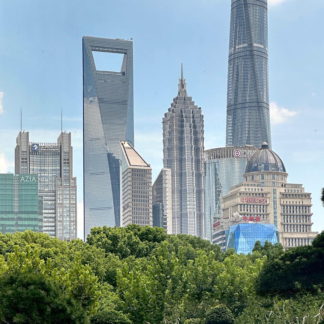 杨杨、