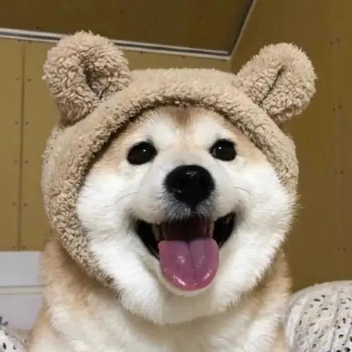 昊昊