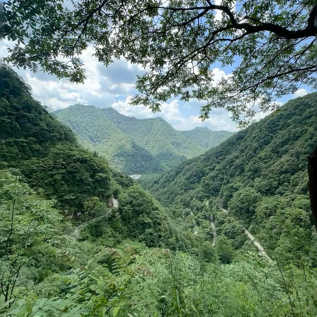 😂🌹❤️😴👏zhang2