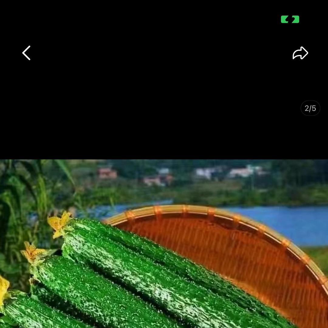 一口鲜果蔬农场