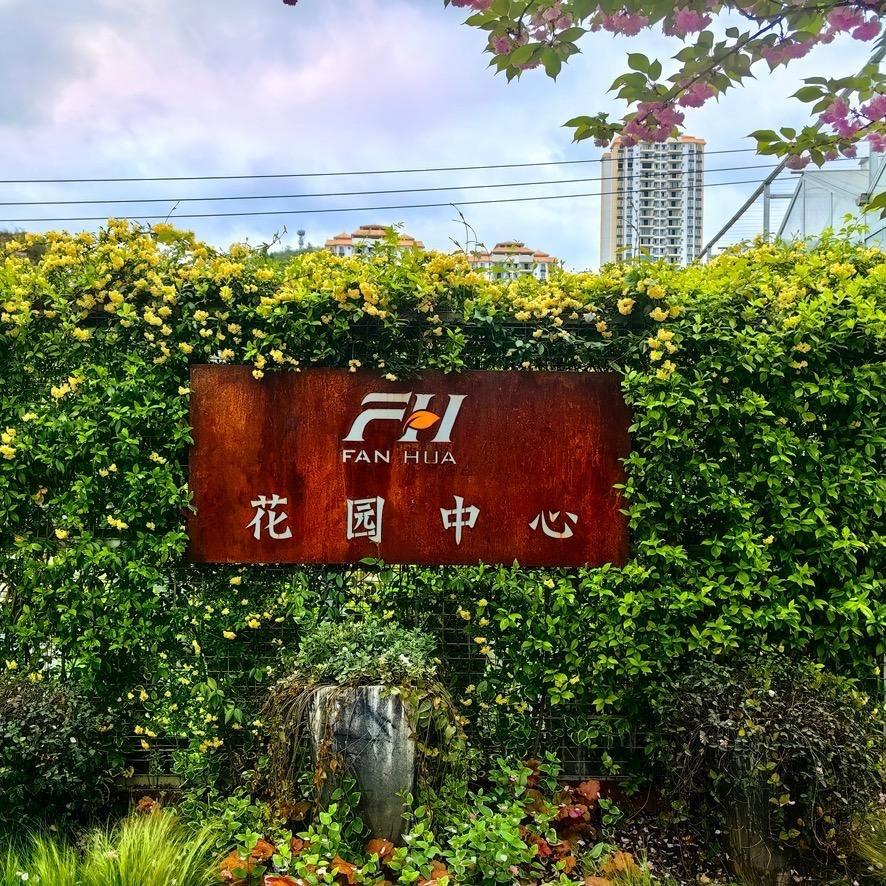 梵花园艺—小戴