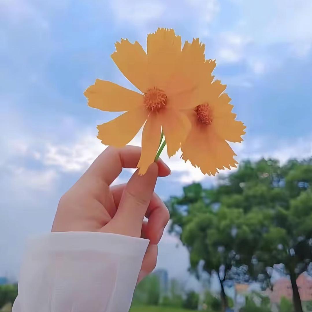 挖野菜的王宝钏