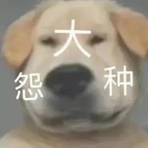 P＝h/λ