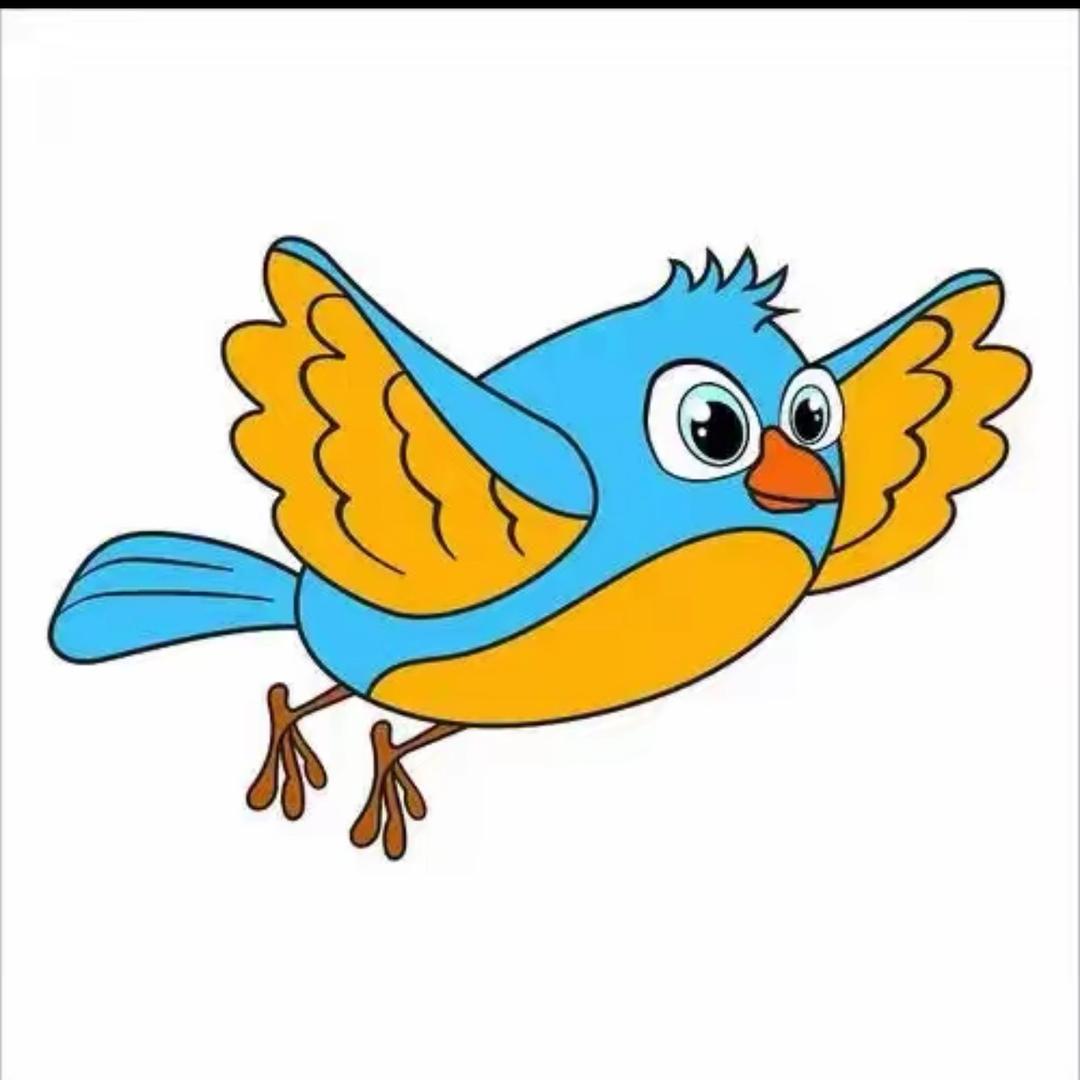 台州小🐦