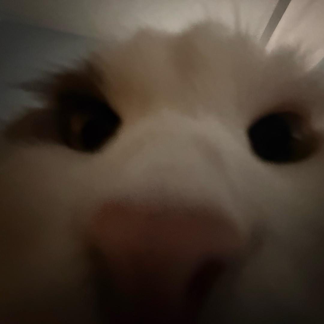 戊寅