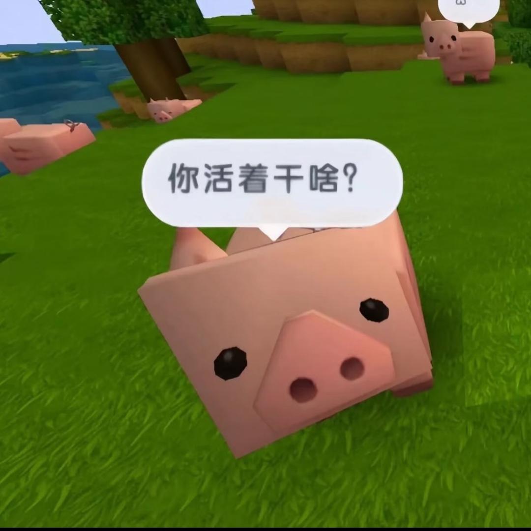 偷猪妹