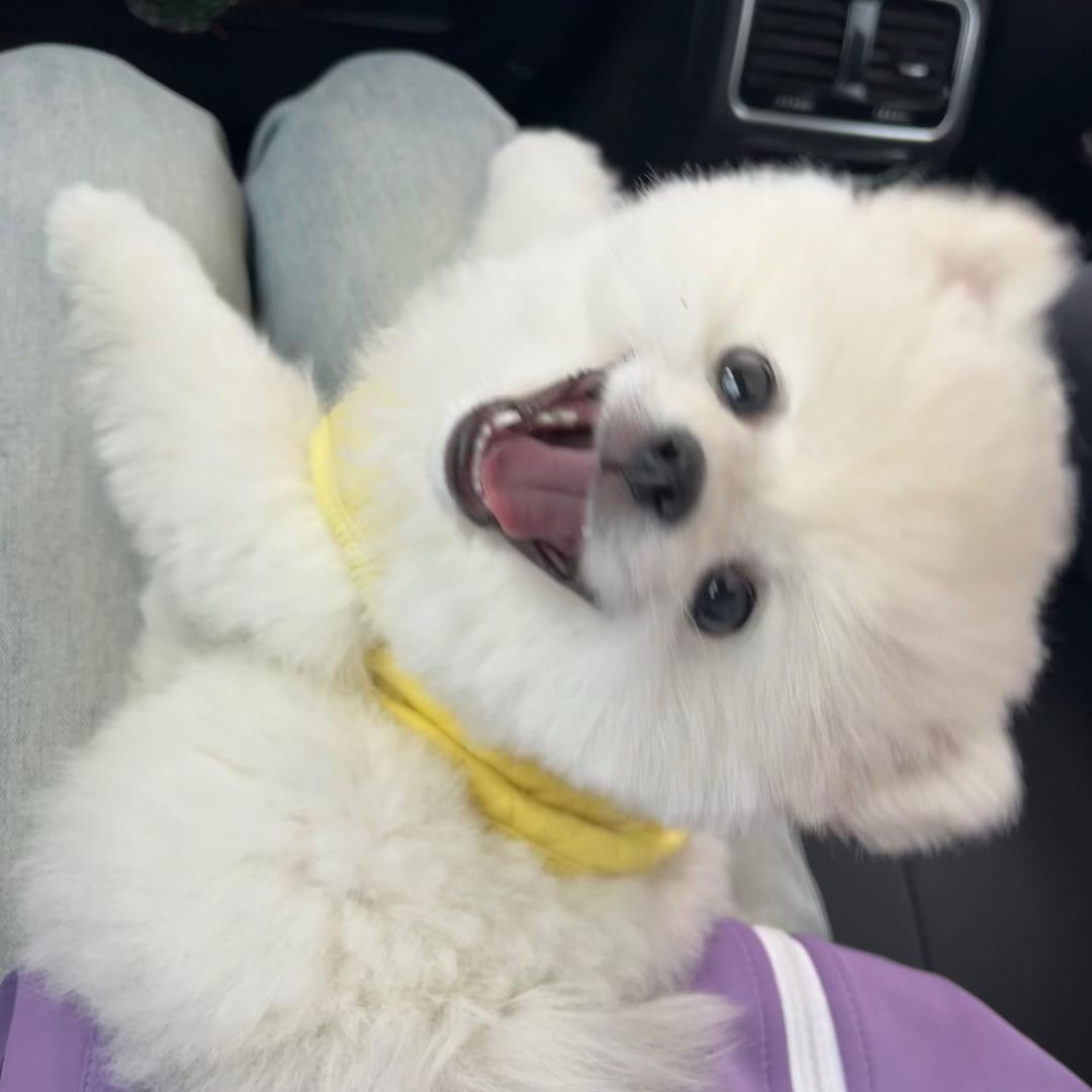 你是个傻蛋子