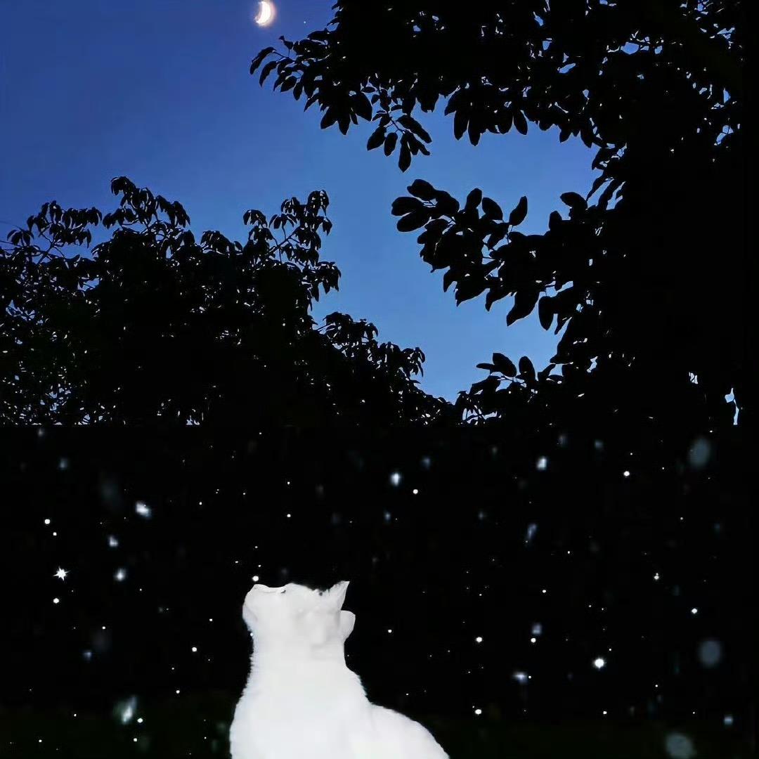 star.