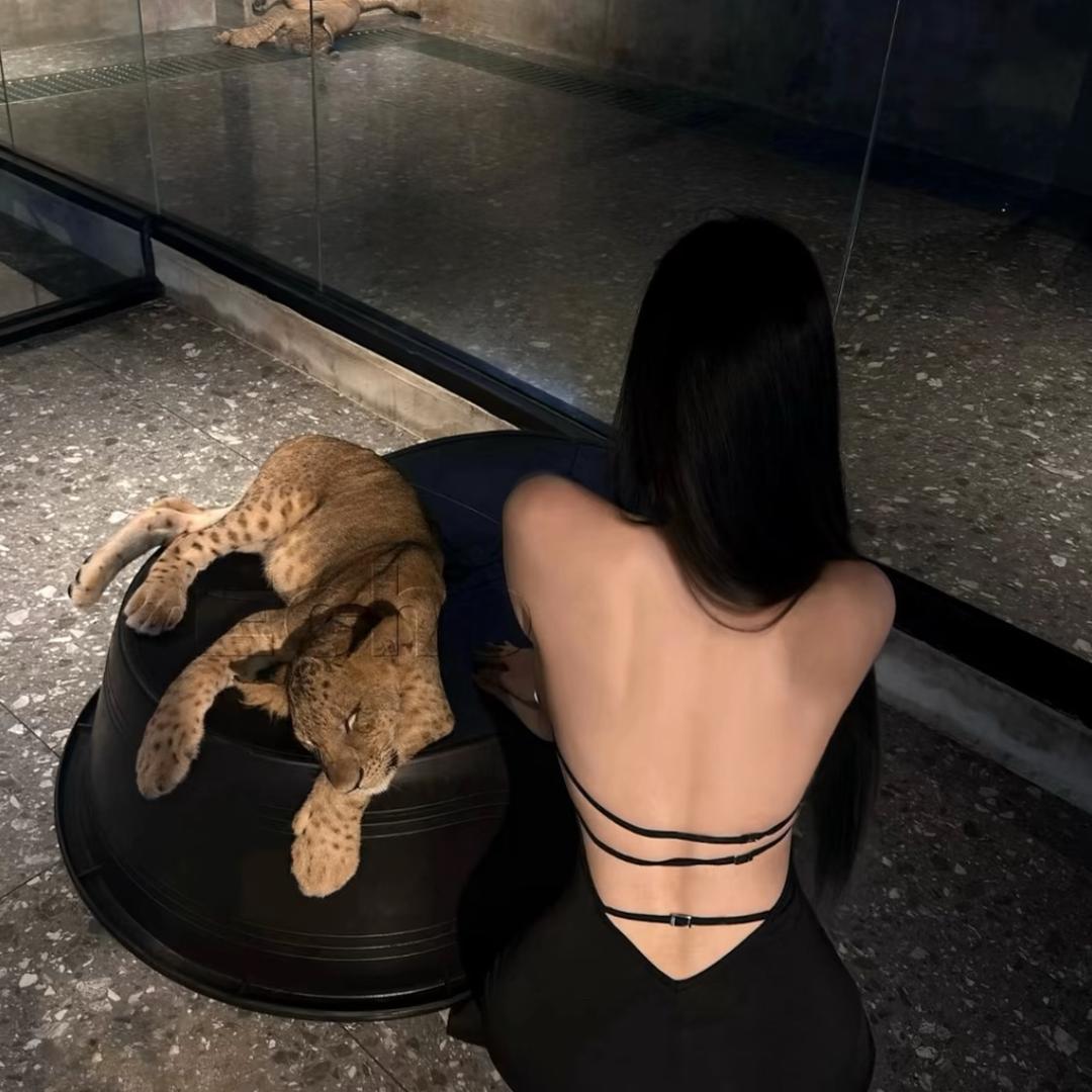 -乐